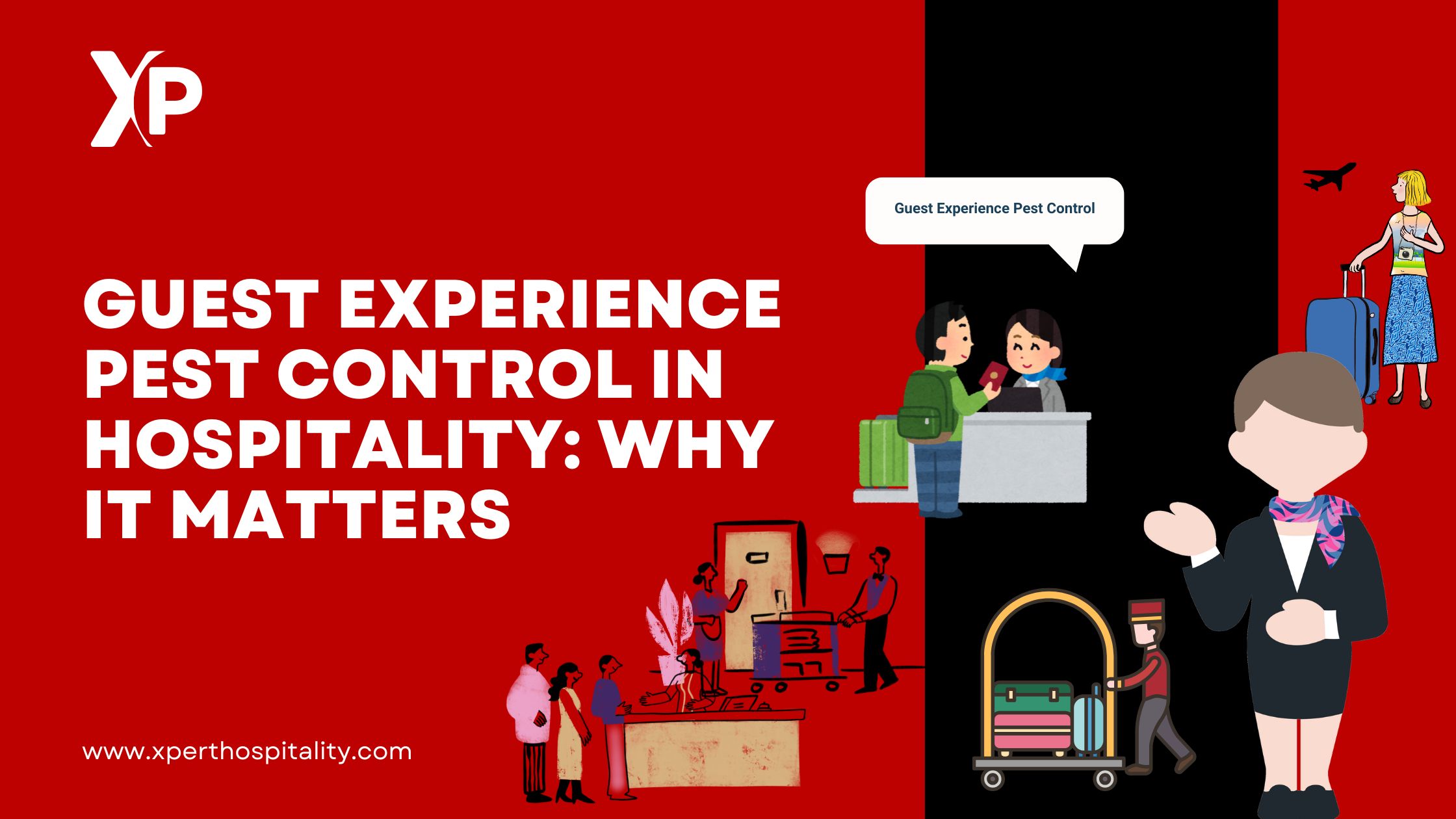 How Pest Control Affects Guest Experience in the Hospitality Industry