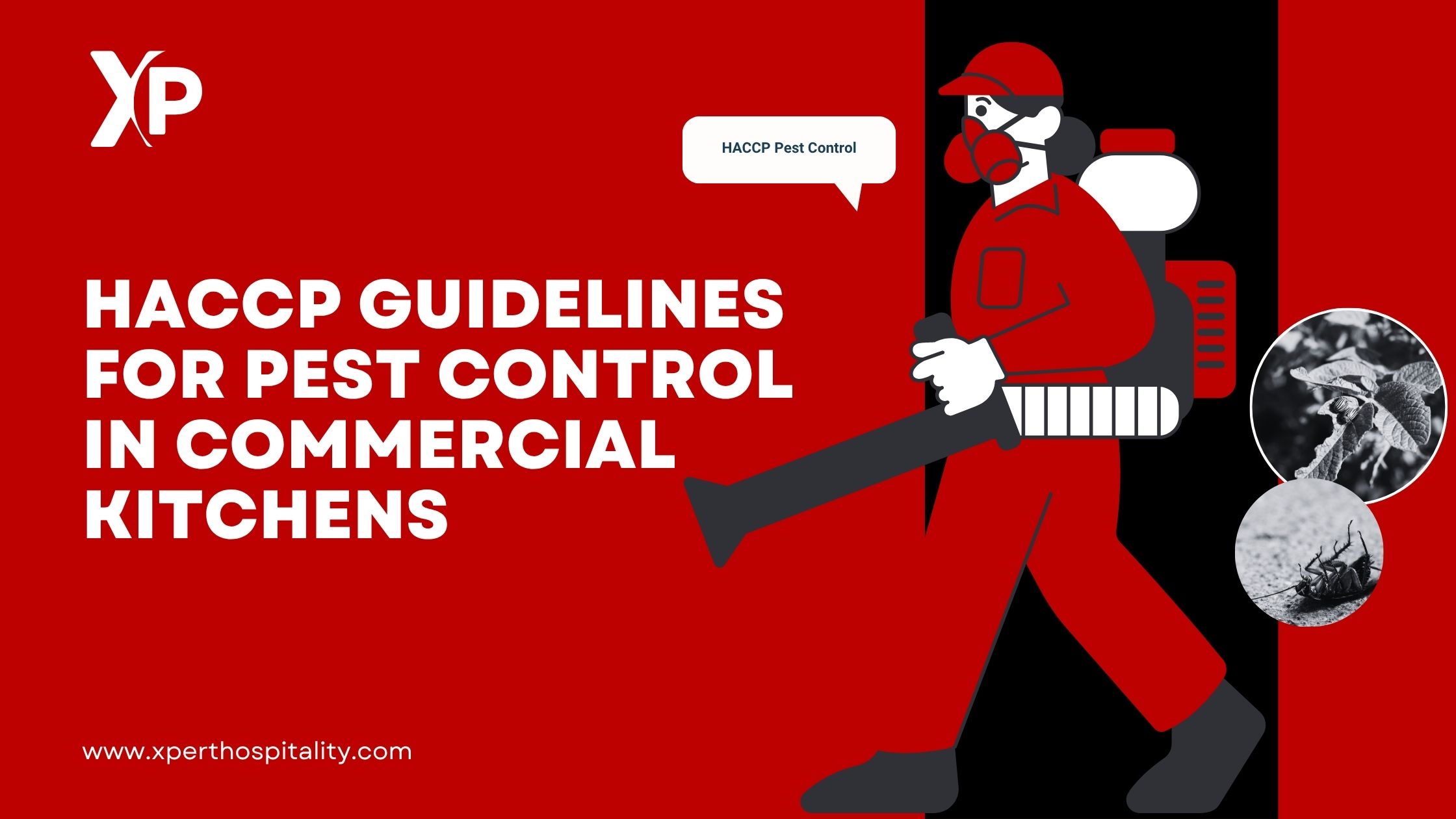 HACCP Guidelines for Pest Control in Commercial Kitchens