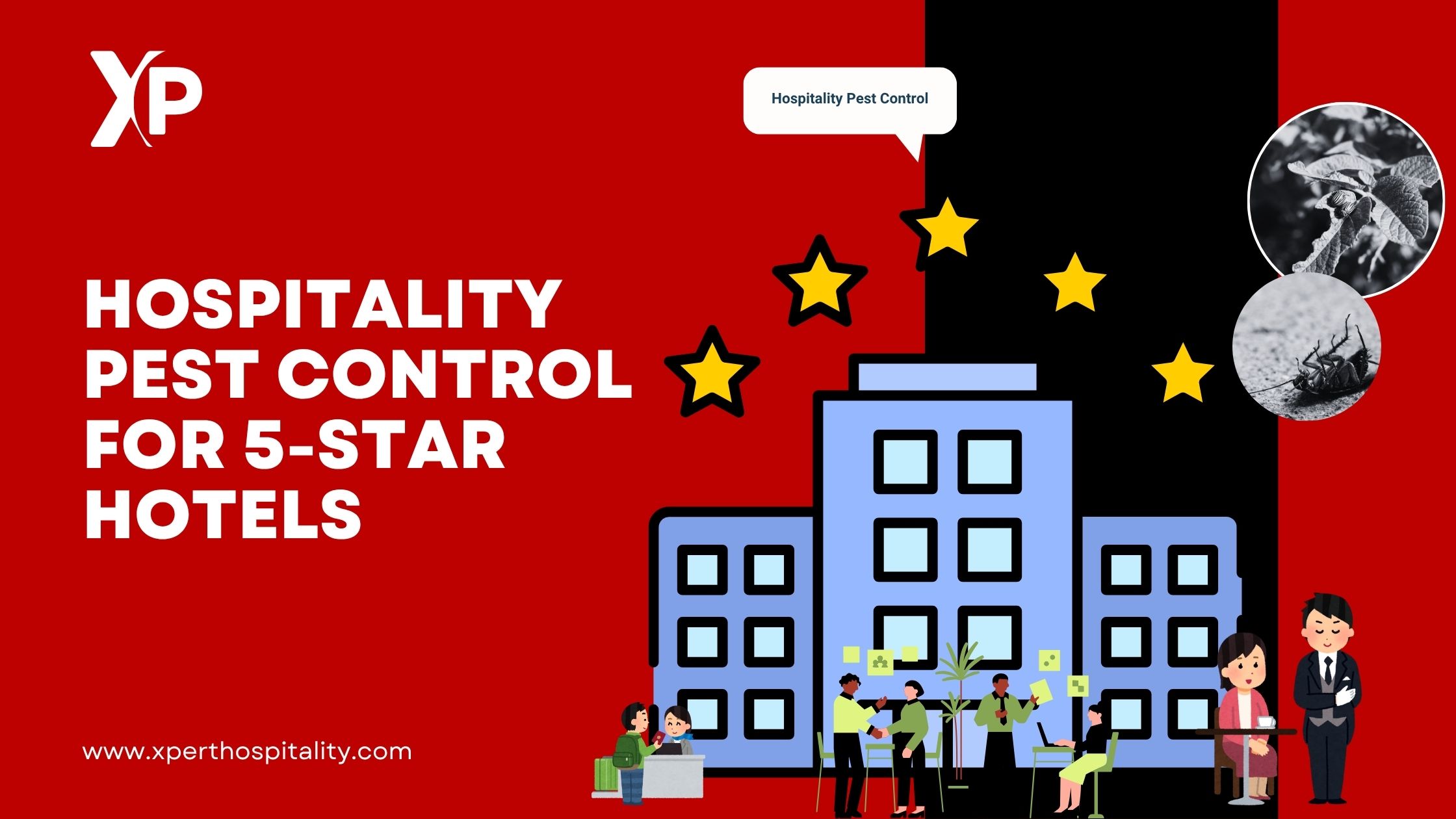 How Hotels Can Maintain 5-Star Hygiene with Professional Pest Control