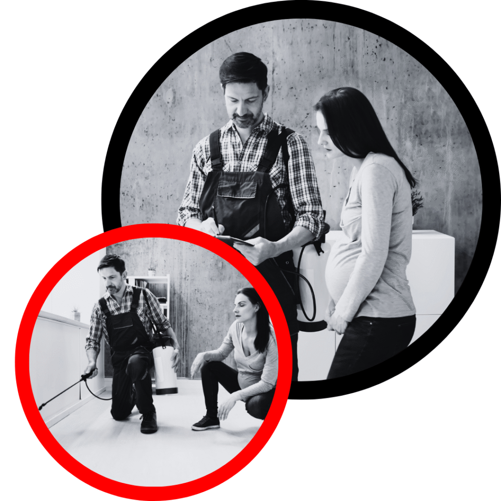 Jai Pest Control Services