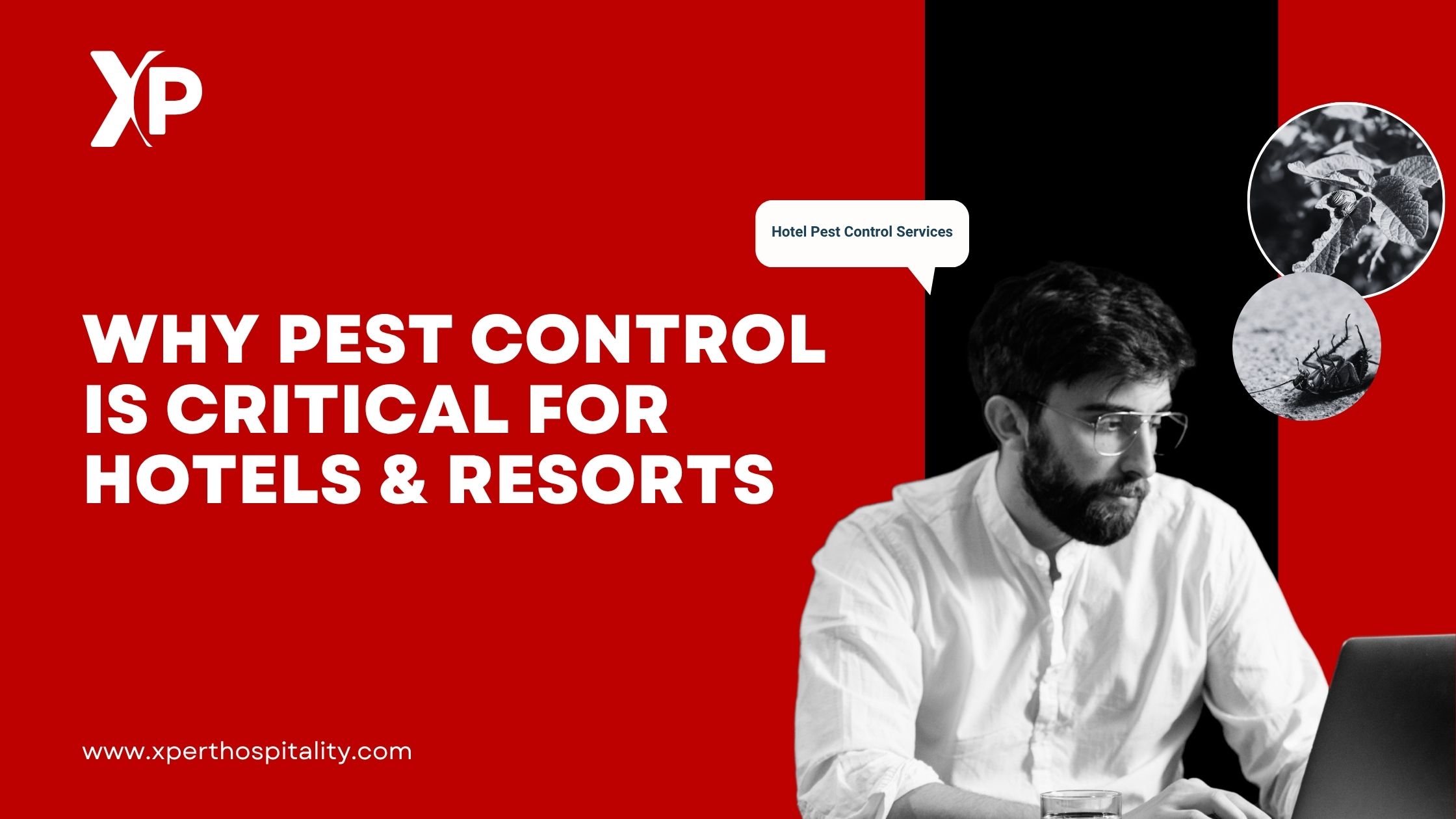Why Pest Control is Critical for Hotels & Resorts