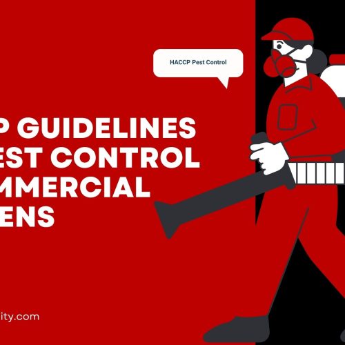 HACCP Guidelines for Pest Control in Commercial Kitchens