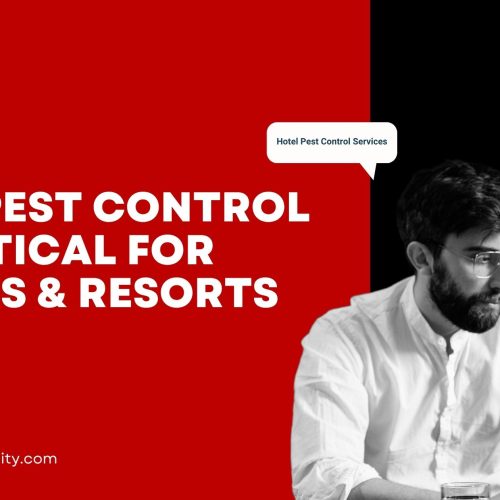 Why Pest Control is Critical for Hotels & Resorts
